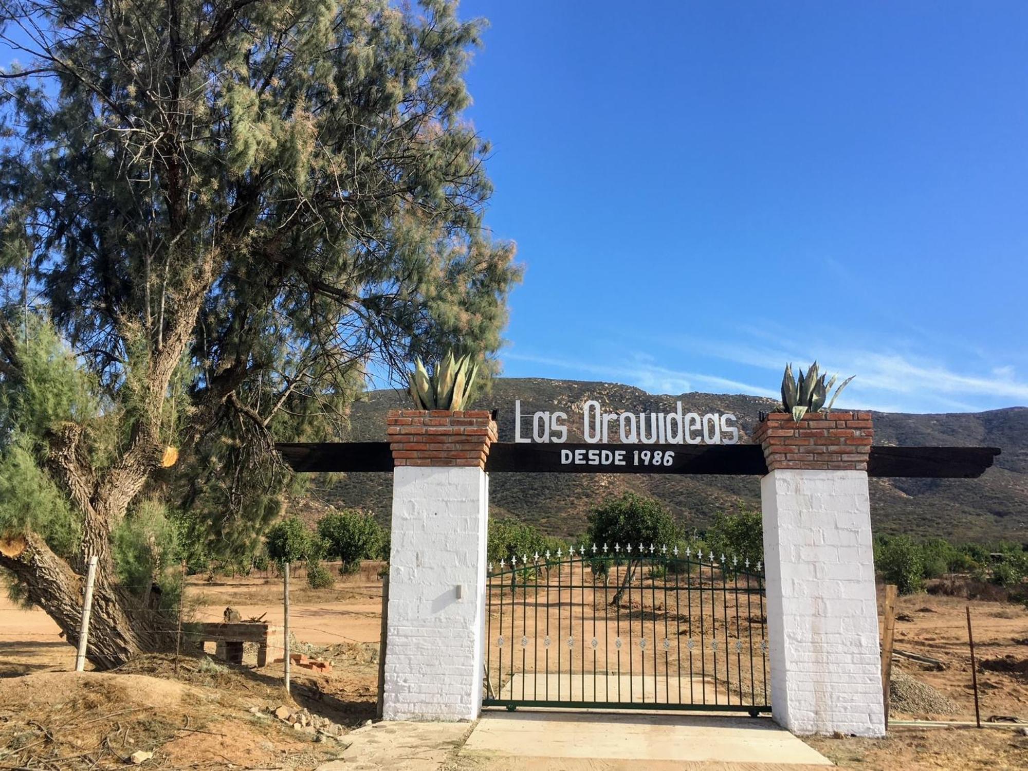 Las Orquideas Valle de Guadalupe Exteriör bild